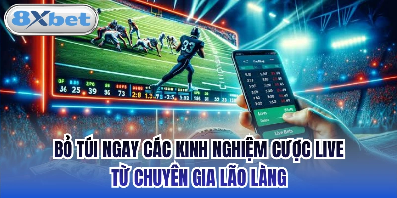 Bỏ túi ngay các kinh nghiệm cược live từ chuyên gia lão làng