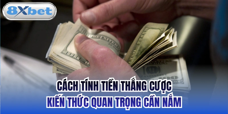 Cách tính tiền thắng cược - kiến thức quan trọng cần nắm