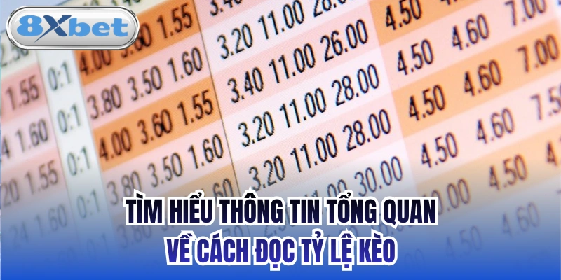 Tìm hiểu thông tin tổng quan về cách đọc tỷ lệ kèo